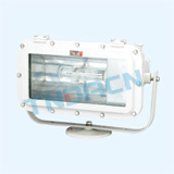 BTd91 type explosion-proof flood lamp (floodlight) (ⅡB)