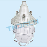 BAD54-F type dust explosion-proof lamp(DIP)