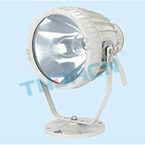 BTd96-F type dust explosion-proof flood lamp(DIP)