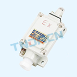 dLXK type explosion-proof travel switch (ⅡB,ⅡC)